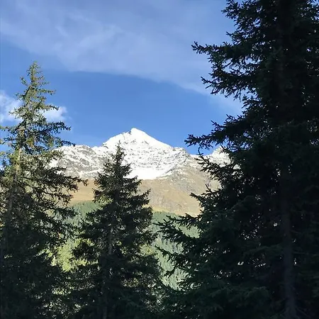 Malga Dell'alpe *
