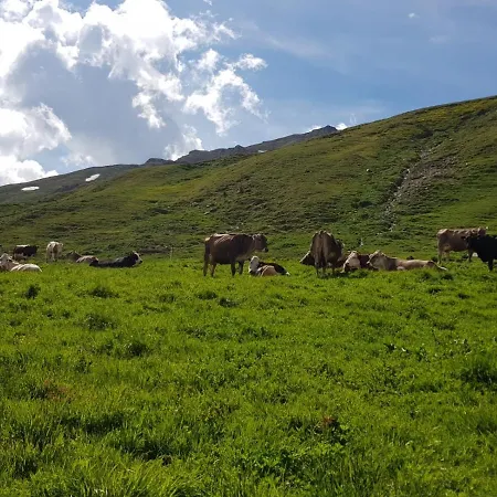 Malga Dell'alpe Vakantieboerderij *